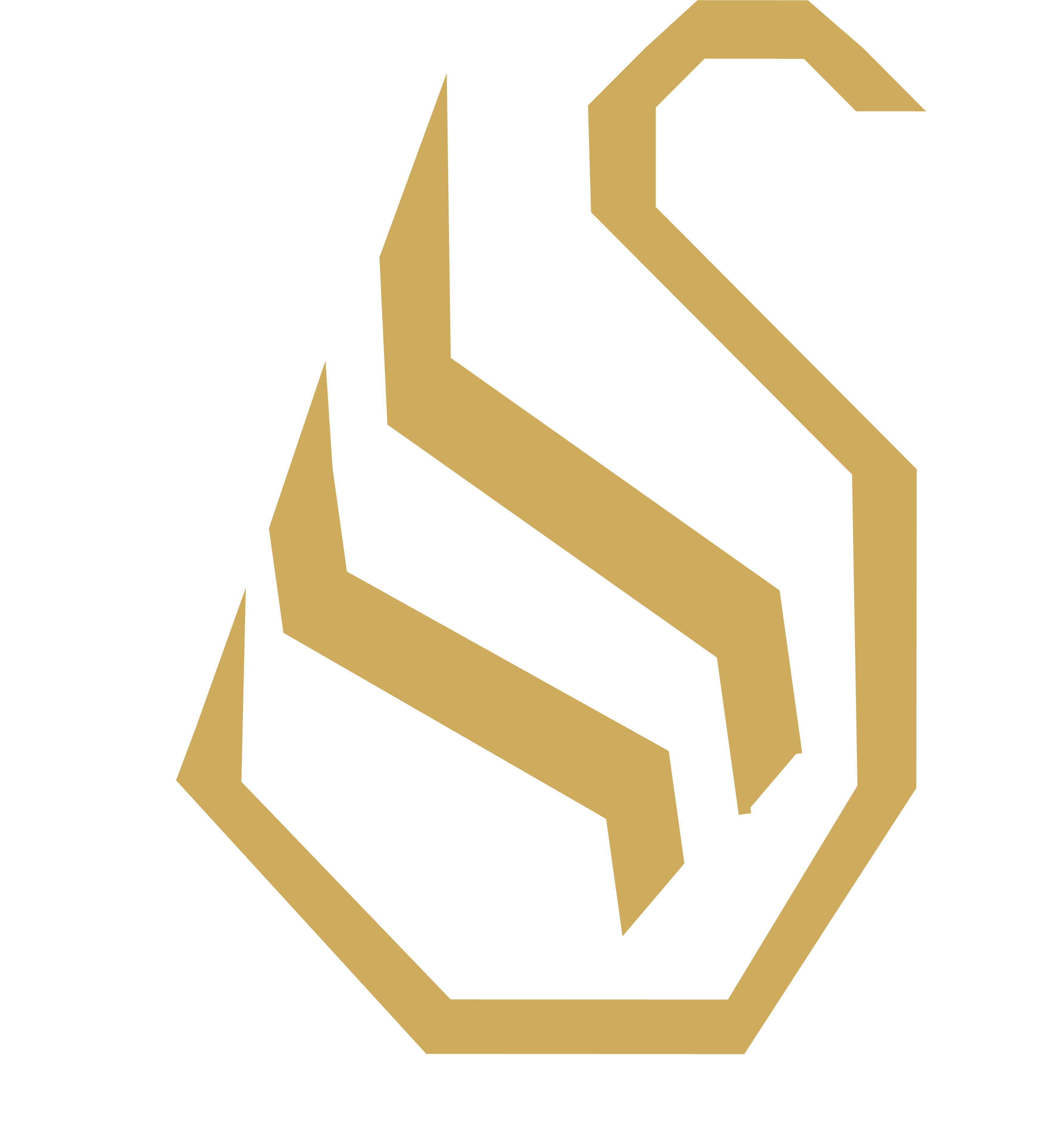 reamotion Emblem